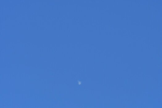 DSC_0236.JPG