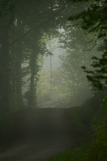ZGF_6344_01.JPG