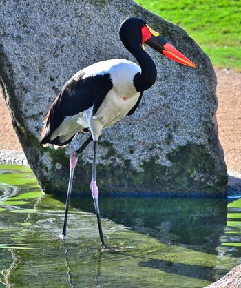 DSC_0074_bk.jpg