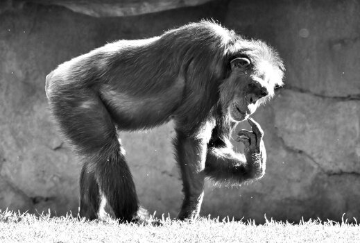 DSC_0166_bk.jpg
