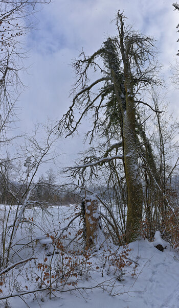 Neues Panorama 1.f.f.jpg