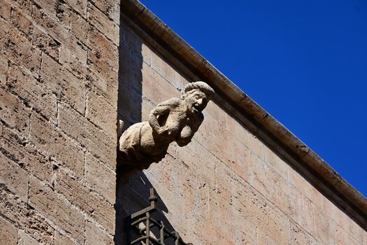 DSC_9787_k.jpg