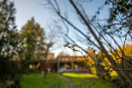 comp_DSC_0140.jpg