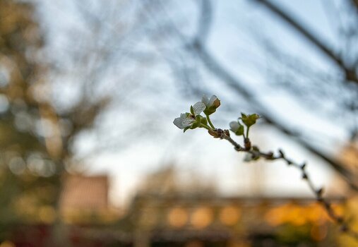 comp_DSC_0140-2.jpg