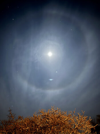 IMG_7801s.jpg
