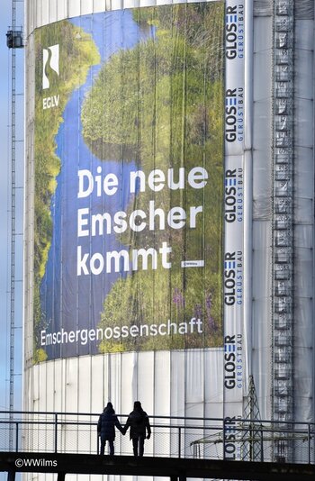 _DSC9541 - Kopie.JPG
