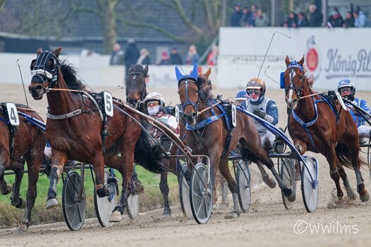DSC_0138_DxO - Kopie.jpg