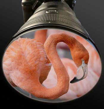 400mm.jpg