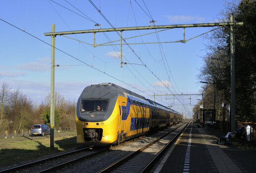Dishoek 2 (181).JPG