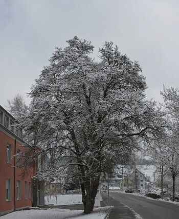 Neues Panorama 1.f.f.jpg