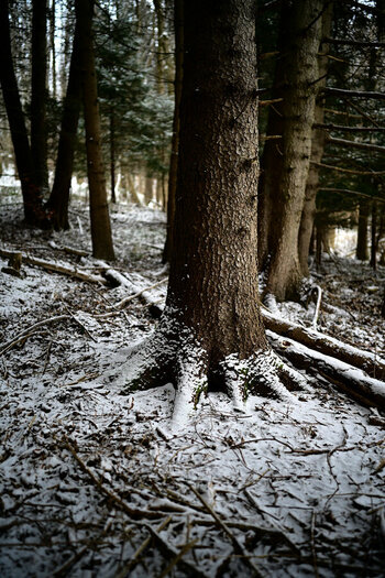 ZGF_0307_01.JPG