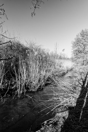 DSC_001921.jpg