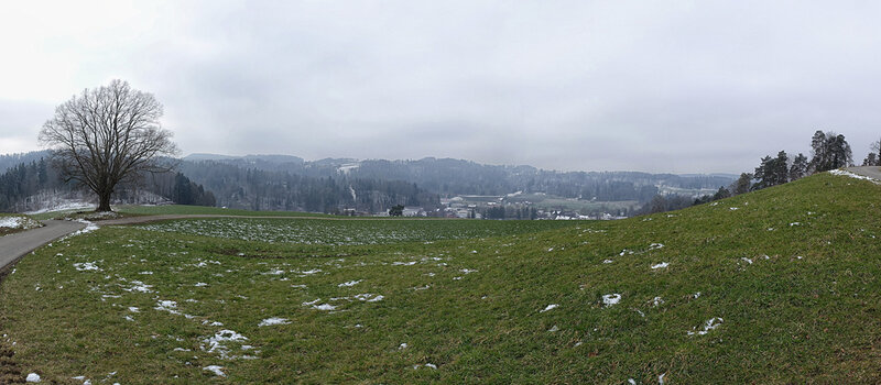 Neues Panorama 9.2.f.jpg