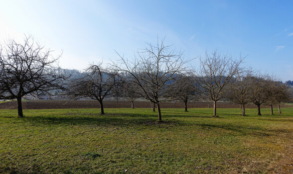 DSC06549.f.f.jpg