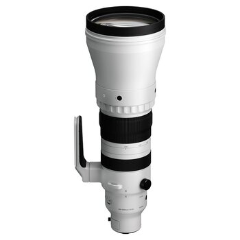 k_017_SIGMA_300-600mm F4 DG OS Sports_L Mount.jpg