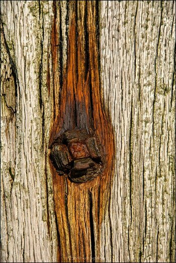 comp_Rost & Holz.jpg