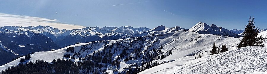 20250304_103926_stitch_b_k.jpg