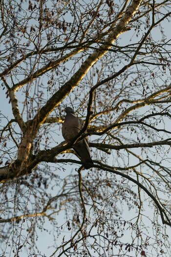 DSC_002467.jpg