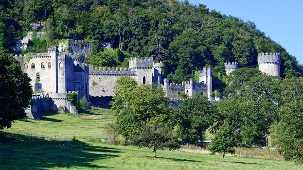 Gwyrch-Castle-(1)_2024_DxO.jpg