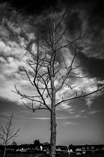 BSB060325-22.jpg