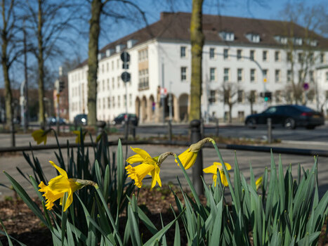 BSB080325-3.jpg