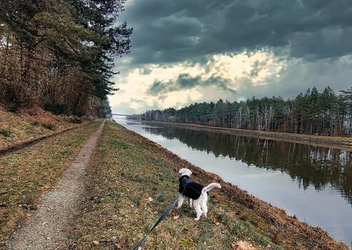 Das Wetter schlägt um-1.jpg