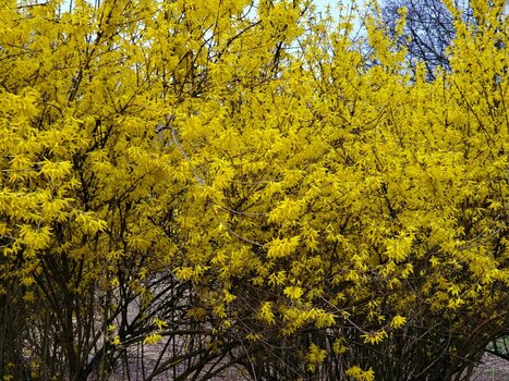 2025-03-13_10-23-37.jpg