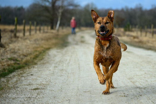 20250313 - unbenannt-70.jpg