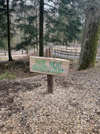 Bitte nicht draufsetzen_k.jpg