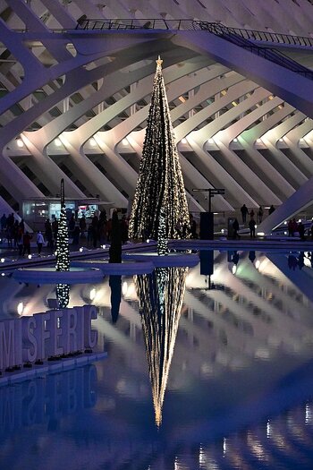 DSC_0453_k.jpg