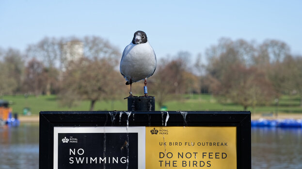 Hyde Park_Möwe_Schild_2025_DxO.jpg