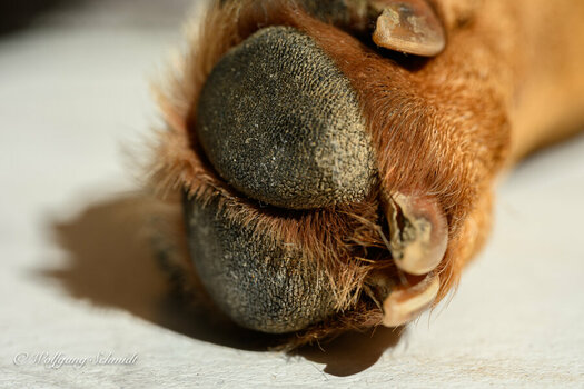 20250318 - unbenannt-1.jpg