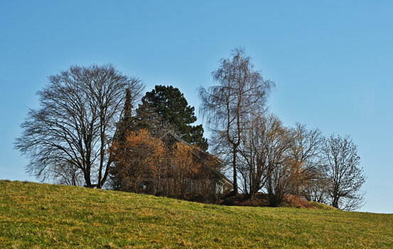 DSC_5731.f.jpg