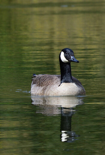 DSC_0038.JPG