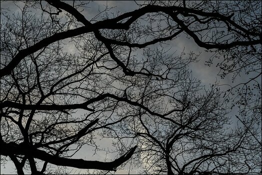comp_Der Himmel versperrt.jpg