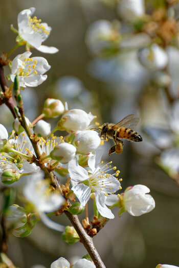 20250324_113930_DSC_2208_DxO_Foren.jpg