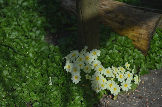 DSC_5597.f.jpg