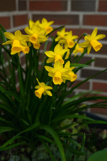 BE230325-86.jpg