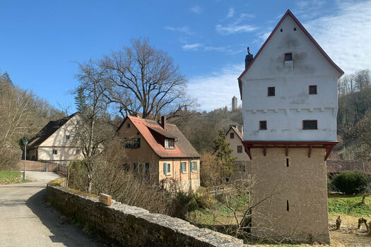 20250320-114350.jpg