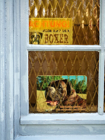 Hier-hat-der-Boxer.jpg