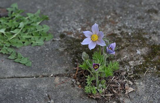 DSC_5608.f.jpg