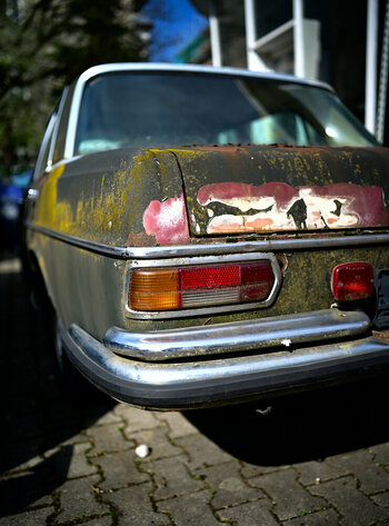 ZGF_1579_01.JPG