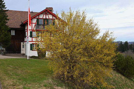 DSC_9066.f.jpg