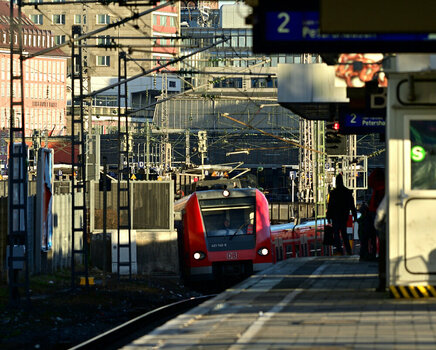 DSC_3667_01.JPG