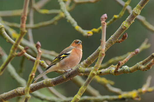 DSC_5300_DxO.jpg