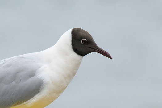 DSC_5089_DxO_1.jpg