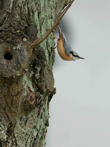 DSC_5380_DxO.jpg