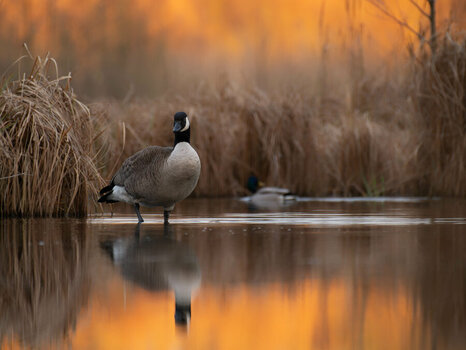 DSC_5494_DxO_1.jpg