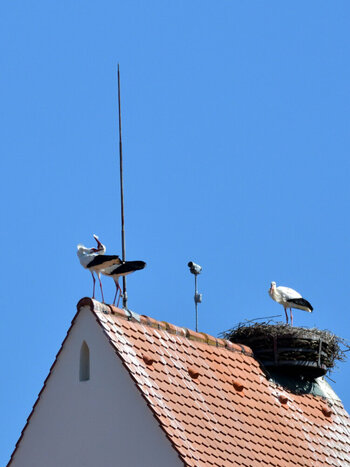 DSC_6489.JPG