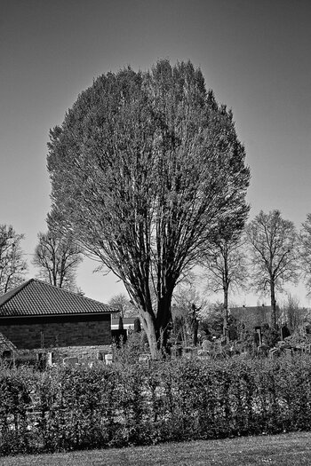 BE060425-2.jpg